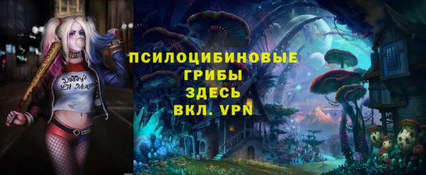 МДПВ Алексин