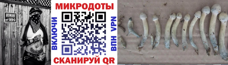 Купить где  Волосово  Галлюциногенные грибы мицелий 