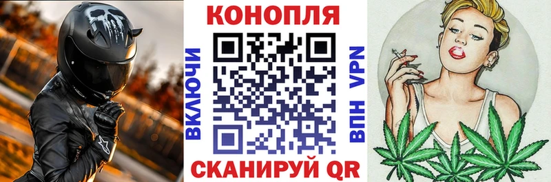 Купить Волосово Канабис индика